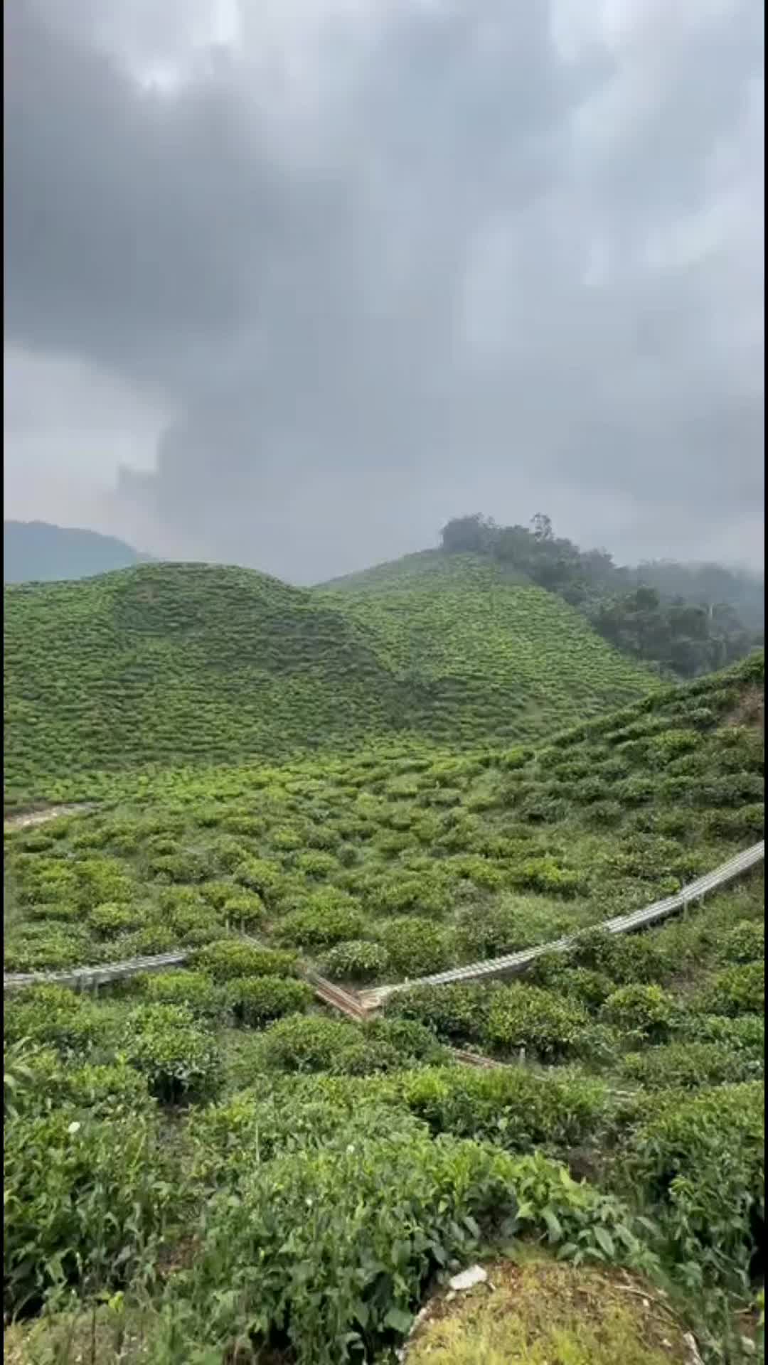 @دافي كريم&trade;️