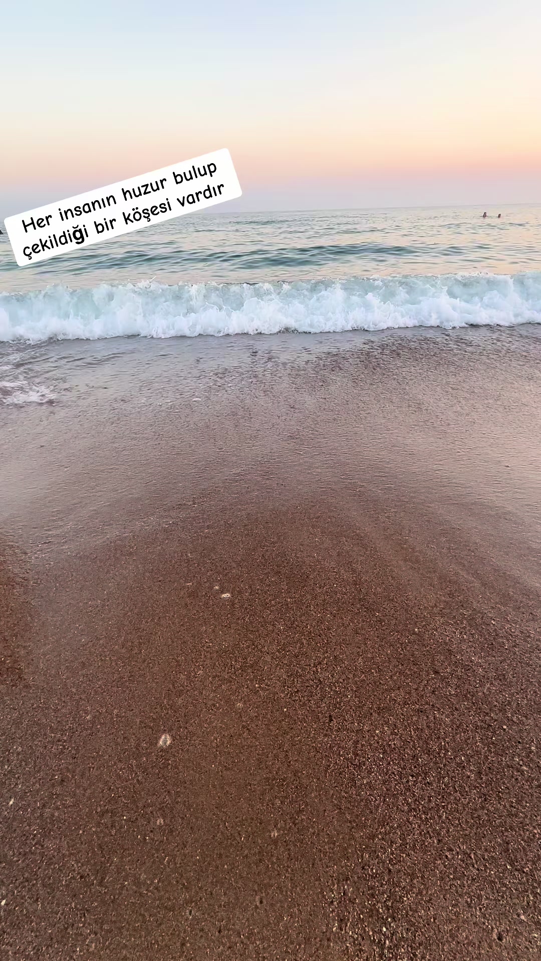@Elif_seda_42