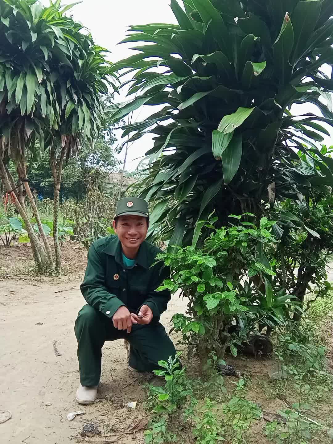 @Nguyễn Hữu Thọ