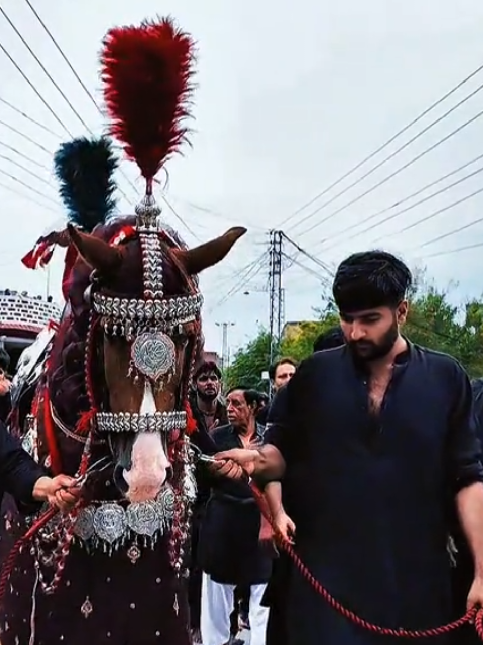 @مرکزی ذوالجناح تلہ گنگ