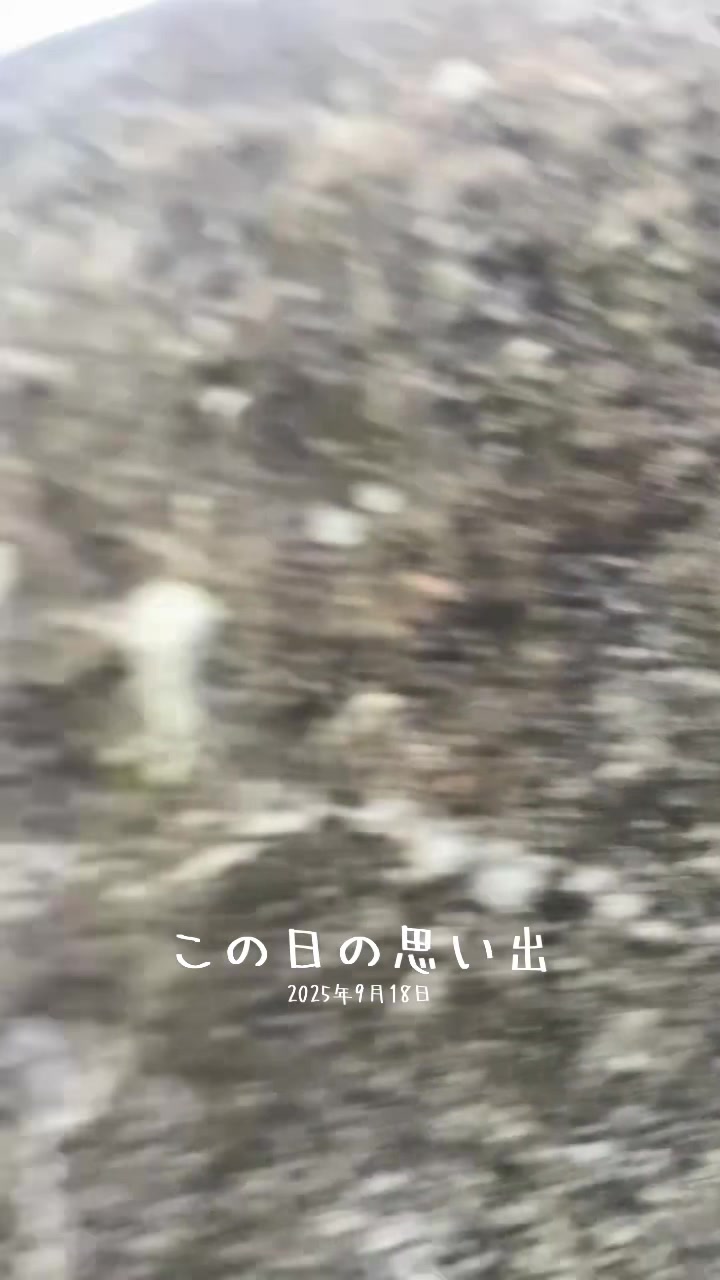 @かずにぃ(Kazunii)☆熊本🐾👑