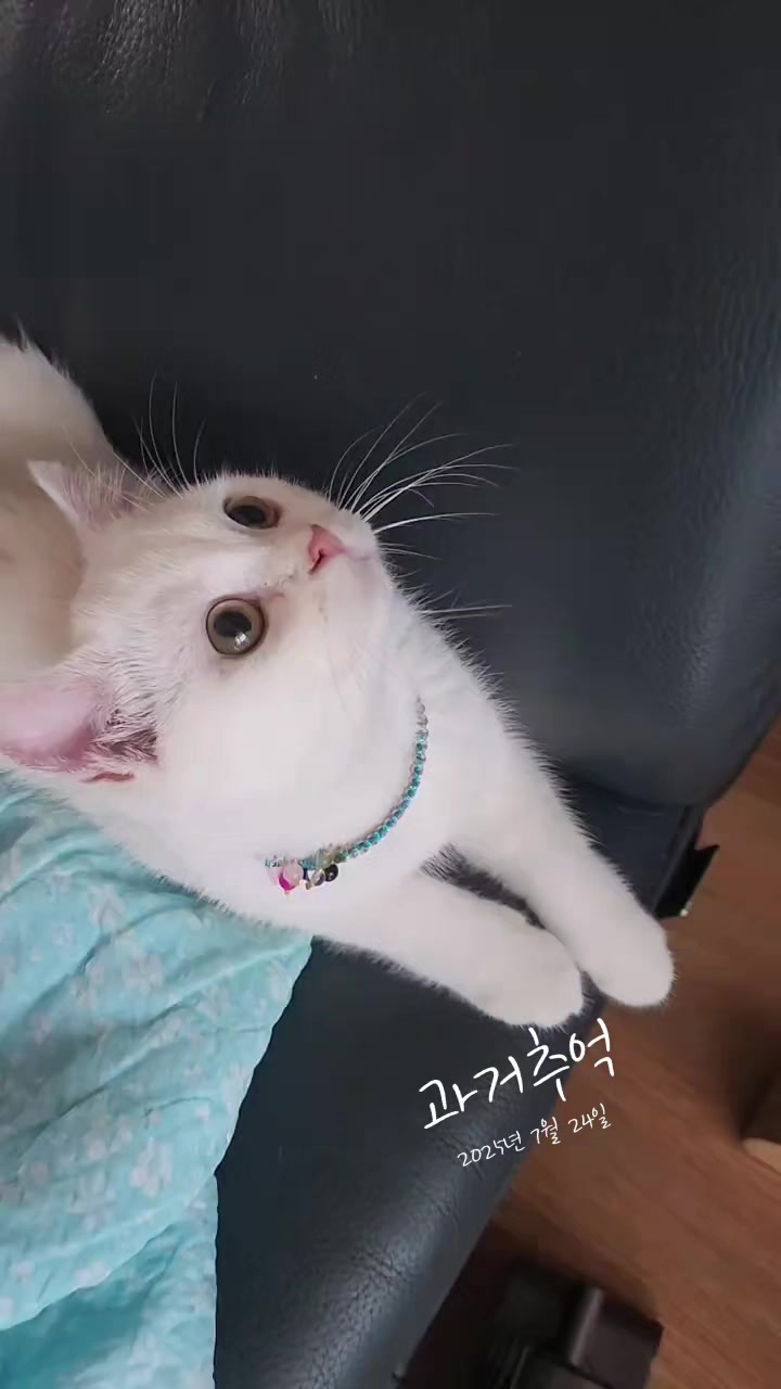 @박씨 거실