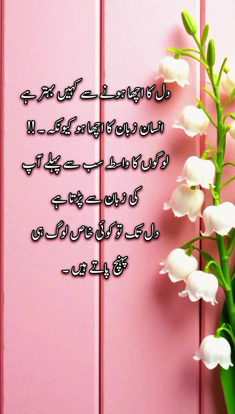@Motivation Qoutes