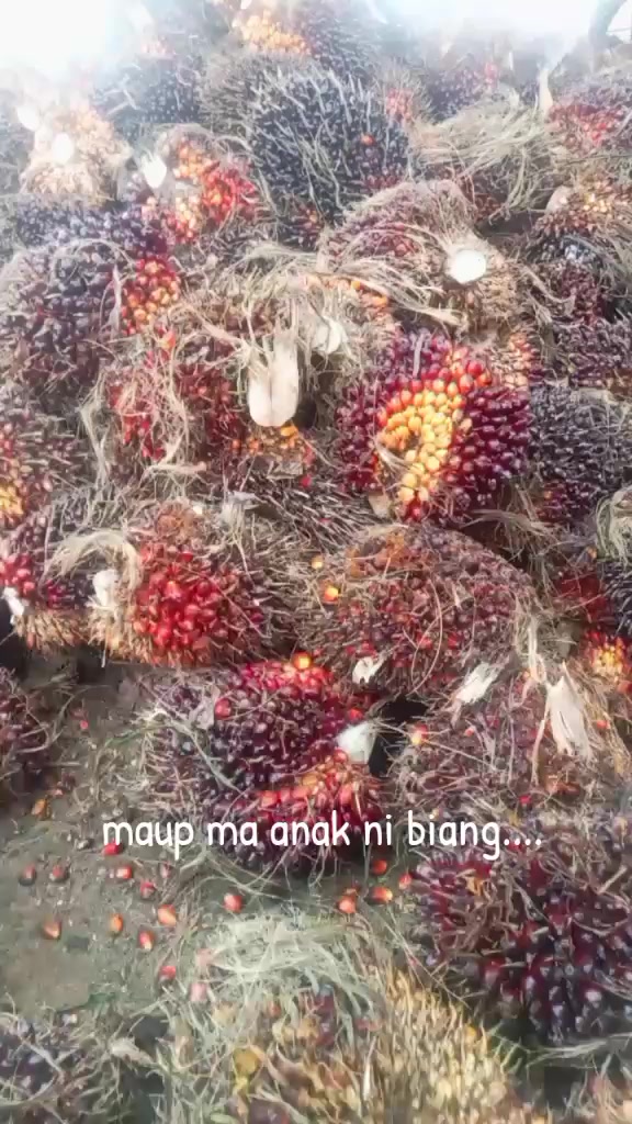 @Jonathan sinaga