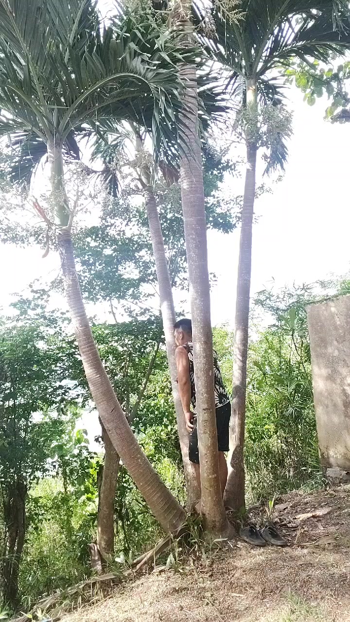 @bobbylopezcama
