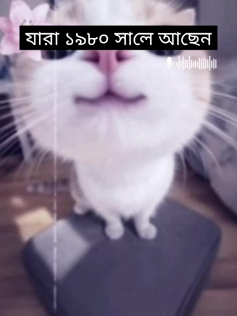 @—IBR𝔸HIM�༒🖤🕊️