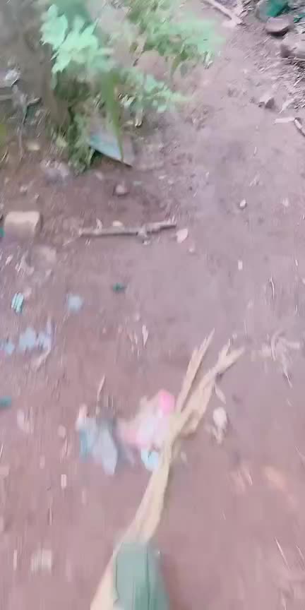 @Wanda machine ug