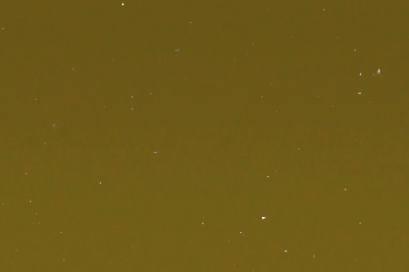 @𝒜⭐️