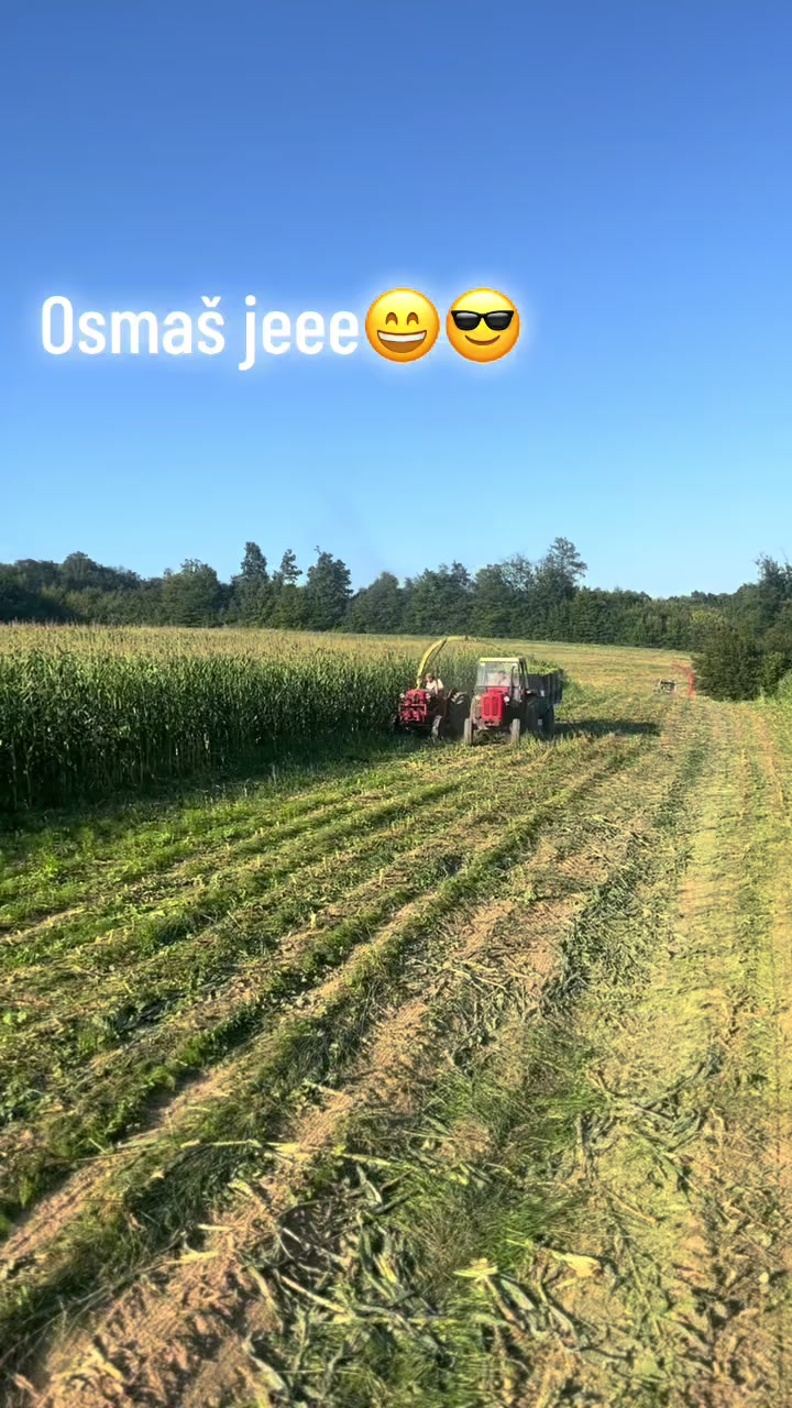 @Toliić1022