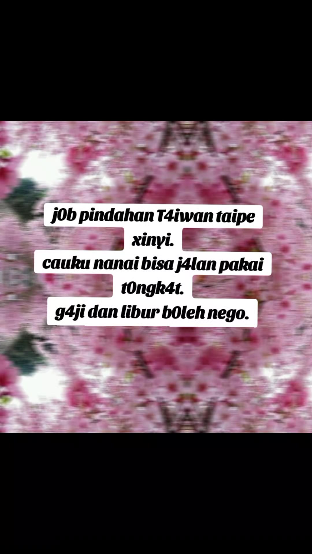 @Nyai Gembol (evoy)
