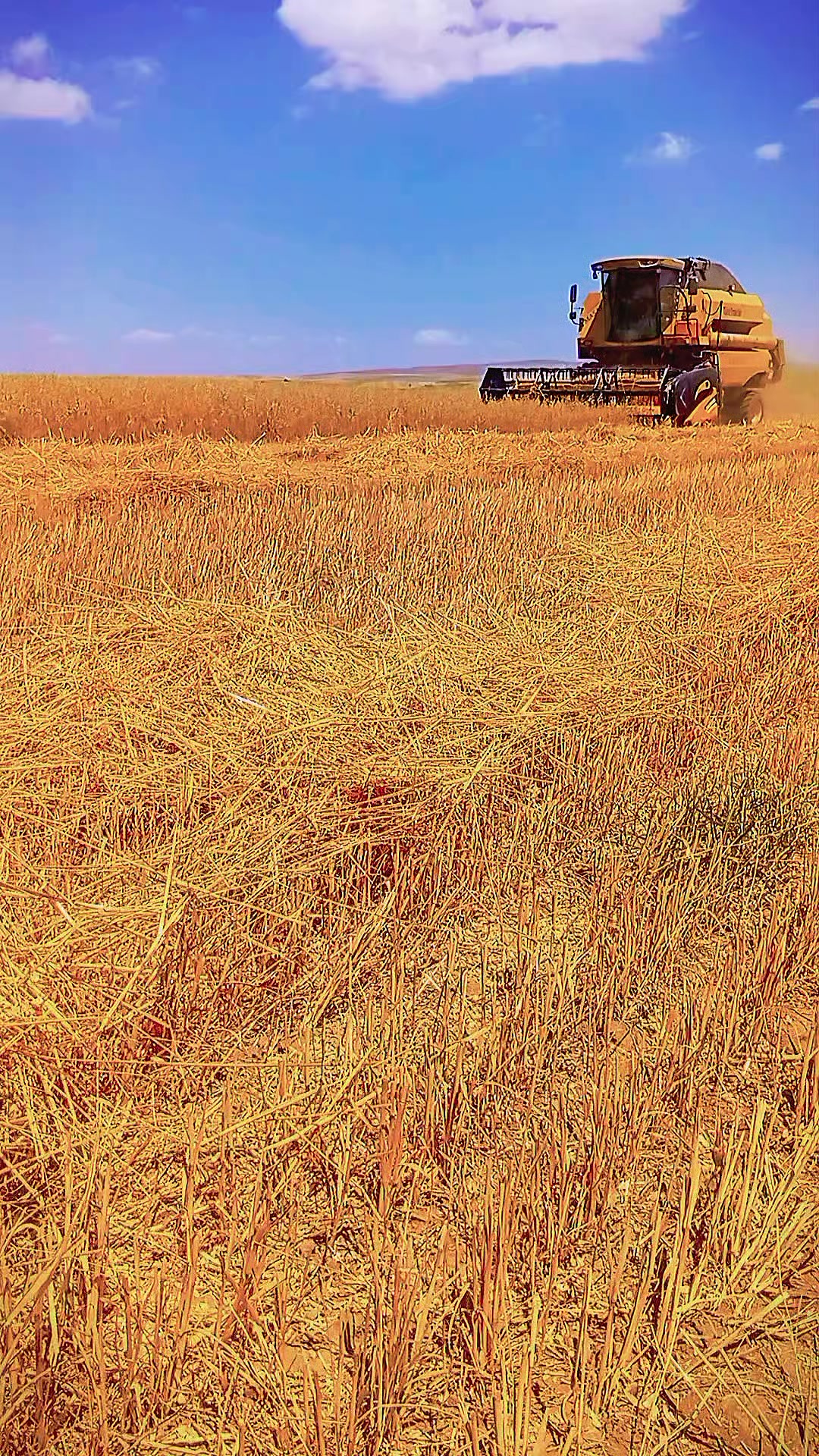 @Awwad Jassim