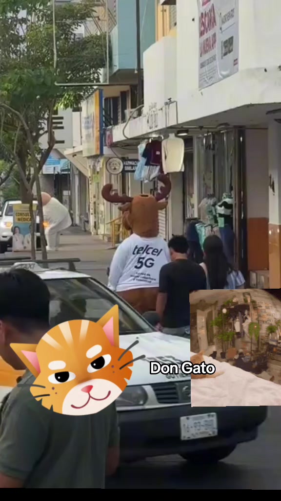 @Don Gato