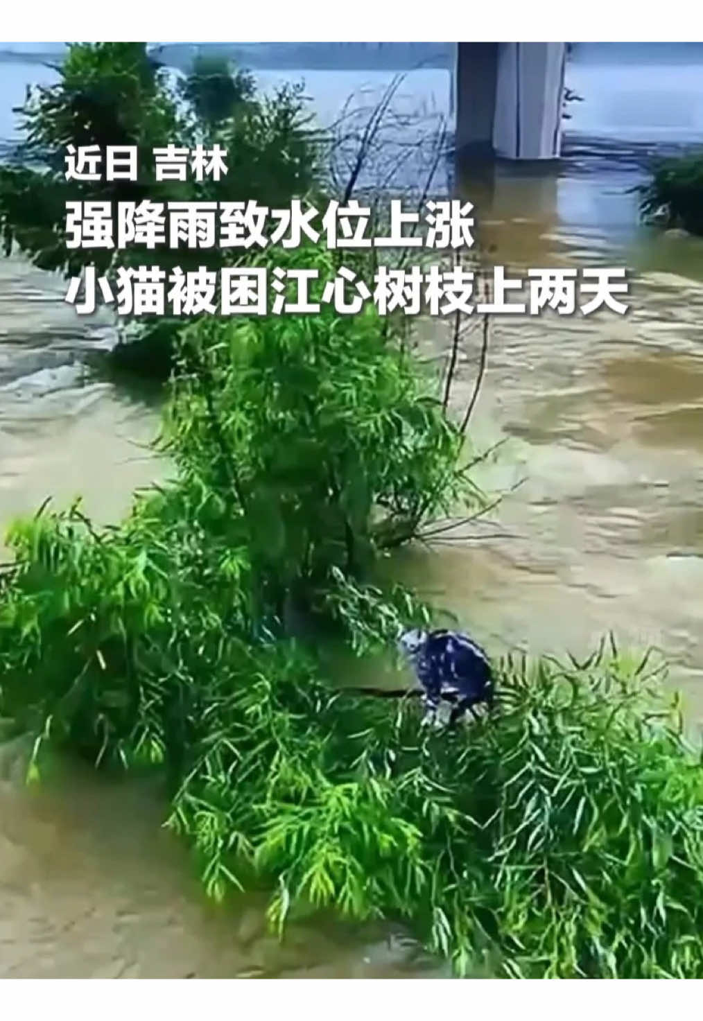 @中国青年