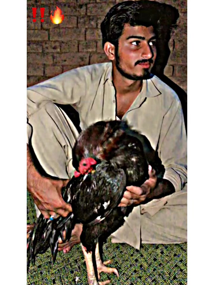 @𖤍 بـلالـــــی گـھنجــیـرا ☠︎