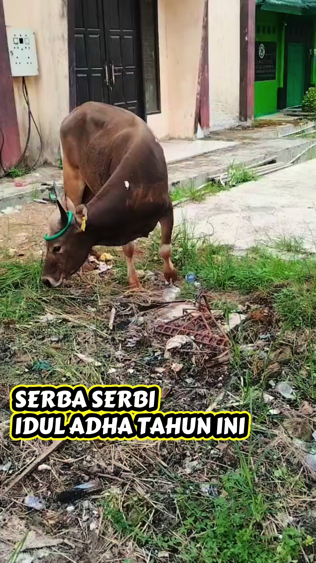 @Mr. KIDAL