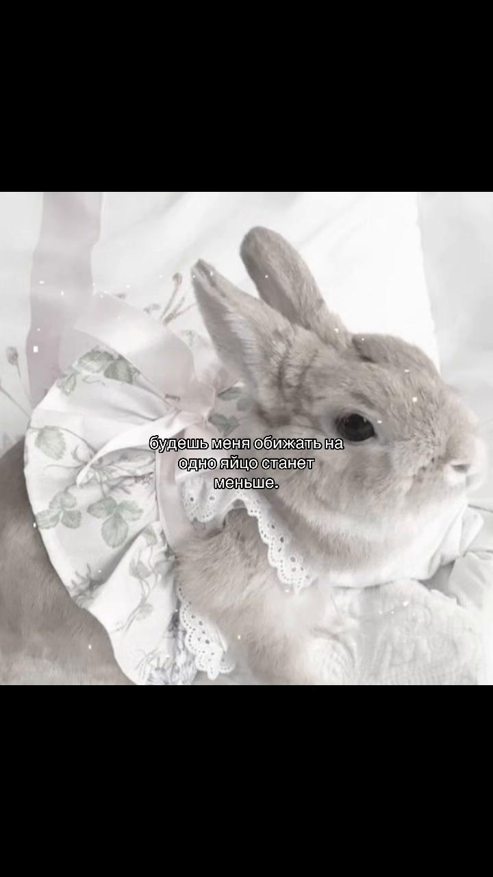 @݁˖𝜗ৎ ᥎ᥲᥒiᥣᥣᥲ‧˚꒰🐾୭ ˚