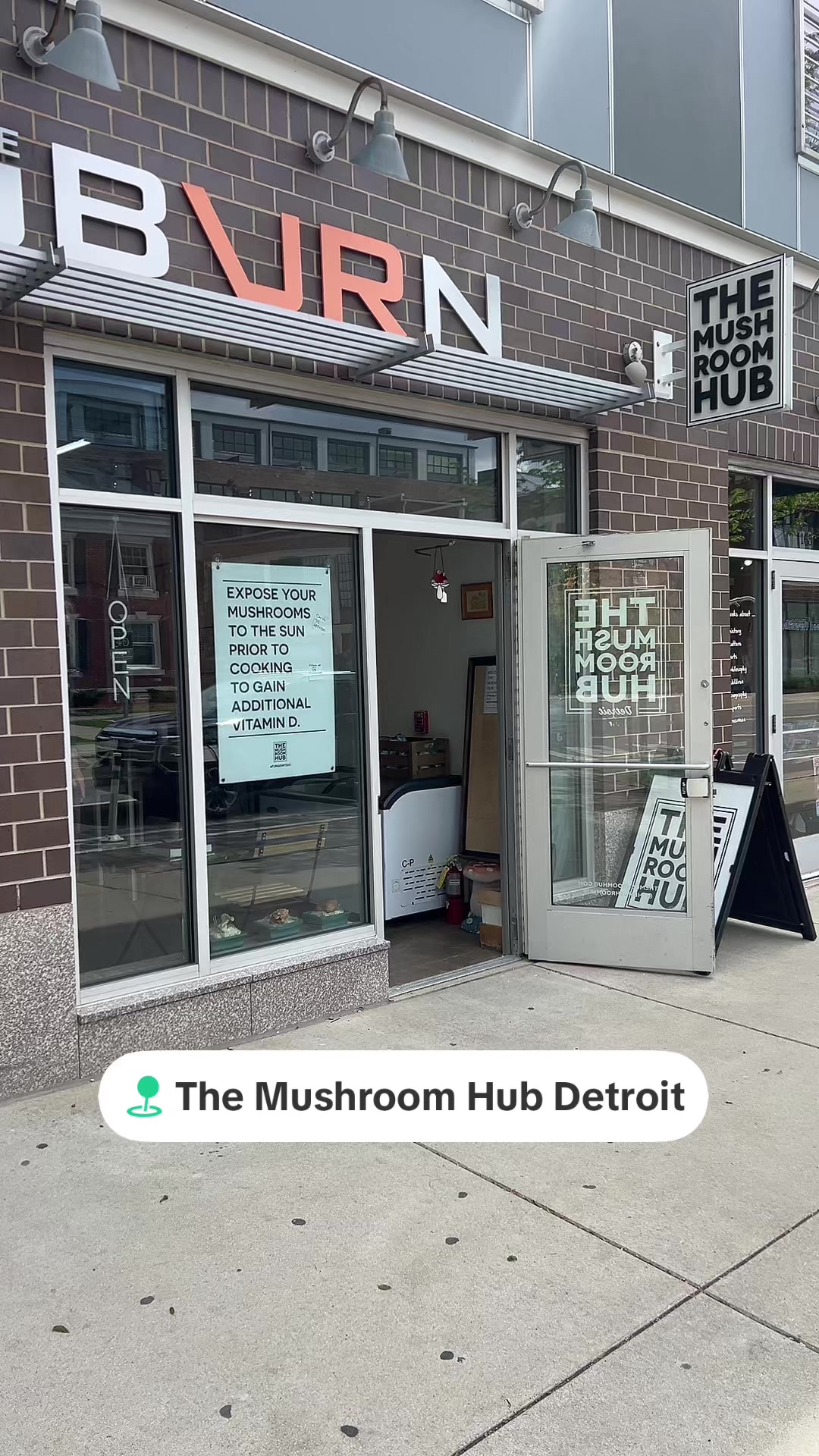 @The Mushroom Hub