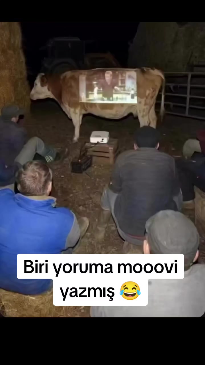 @Kader