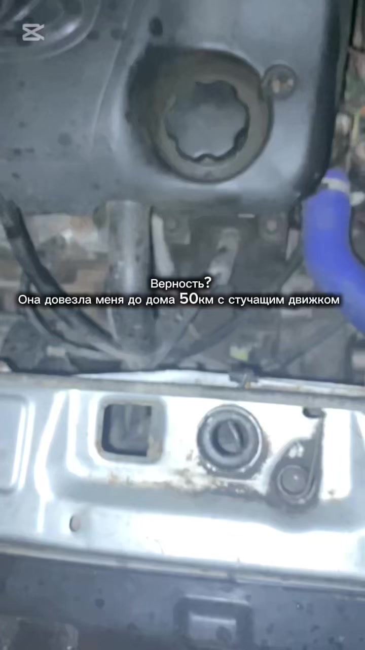 @Алеее киски городе