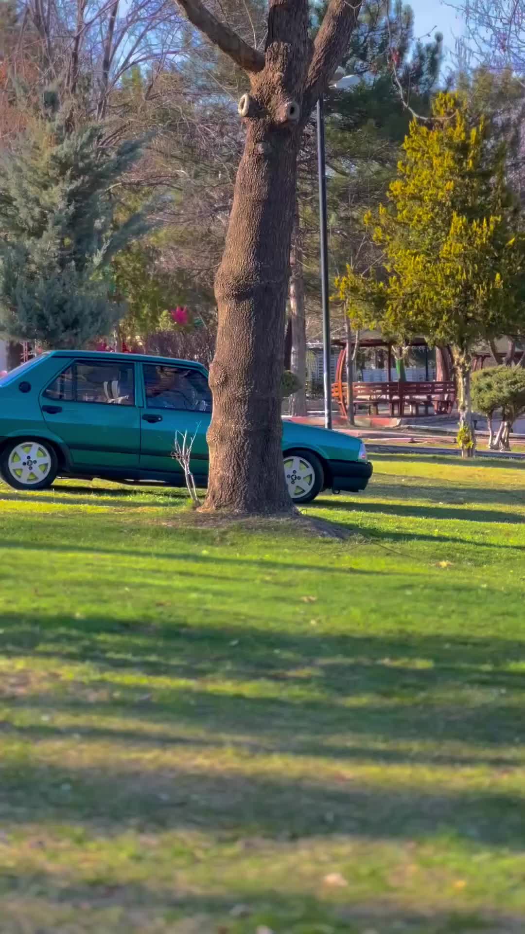 @Aliş Korkmaz
