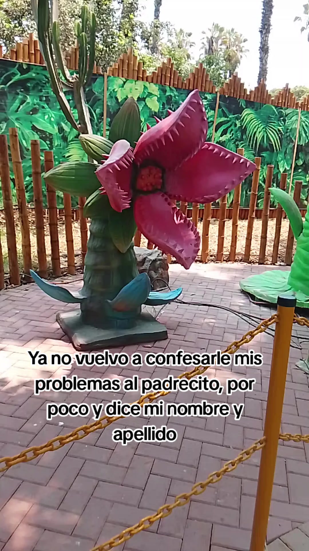 @LFHuaranga