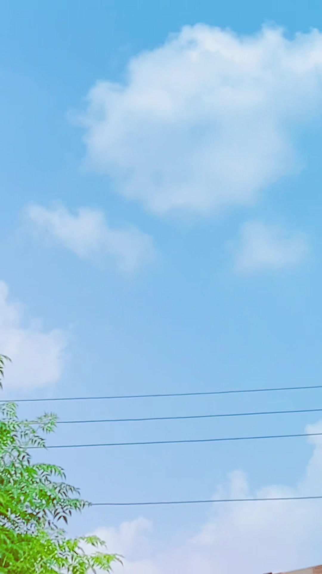 @𝙏𝙖𝙝𝙖 𝙠𝙝𝙖𝙣 🕊️