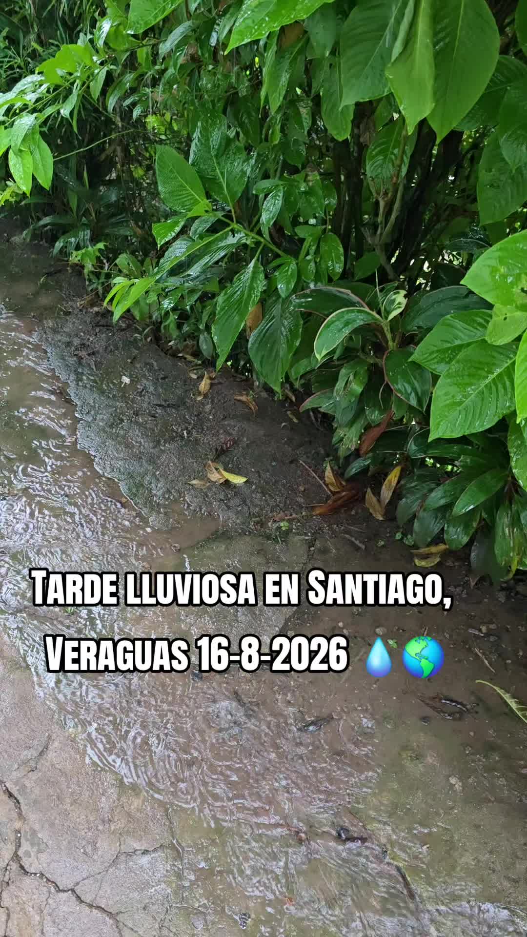@Profe Gloria Cama&ntilde;o