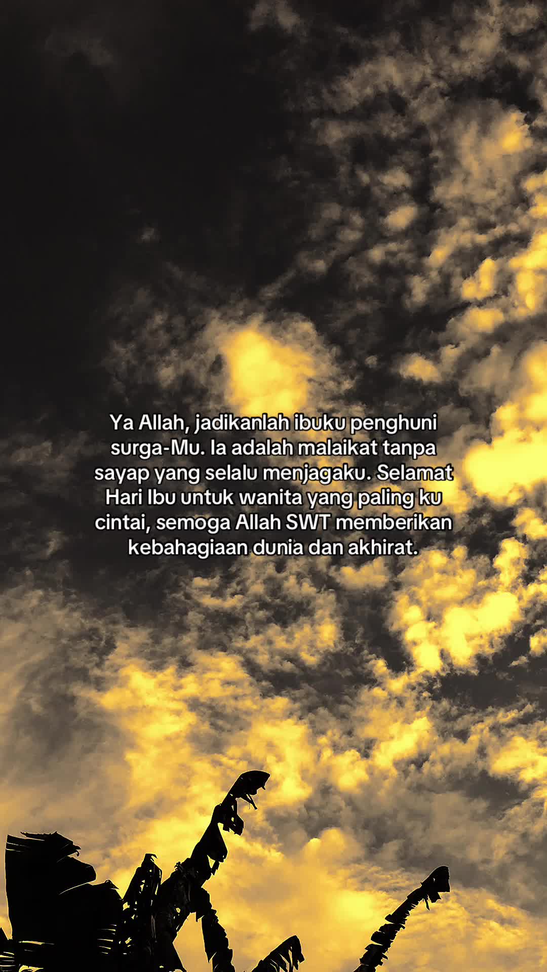 @﷽