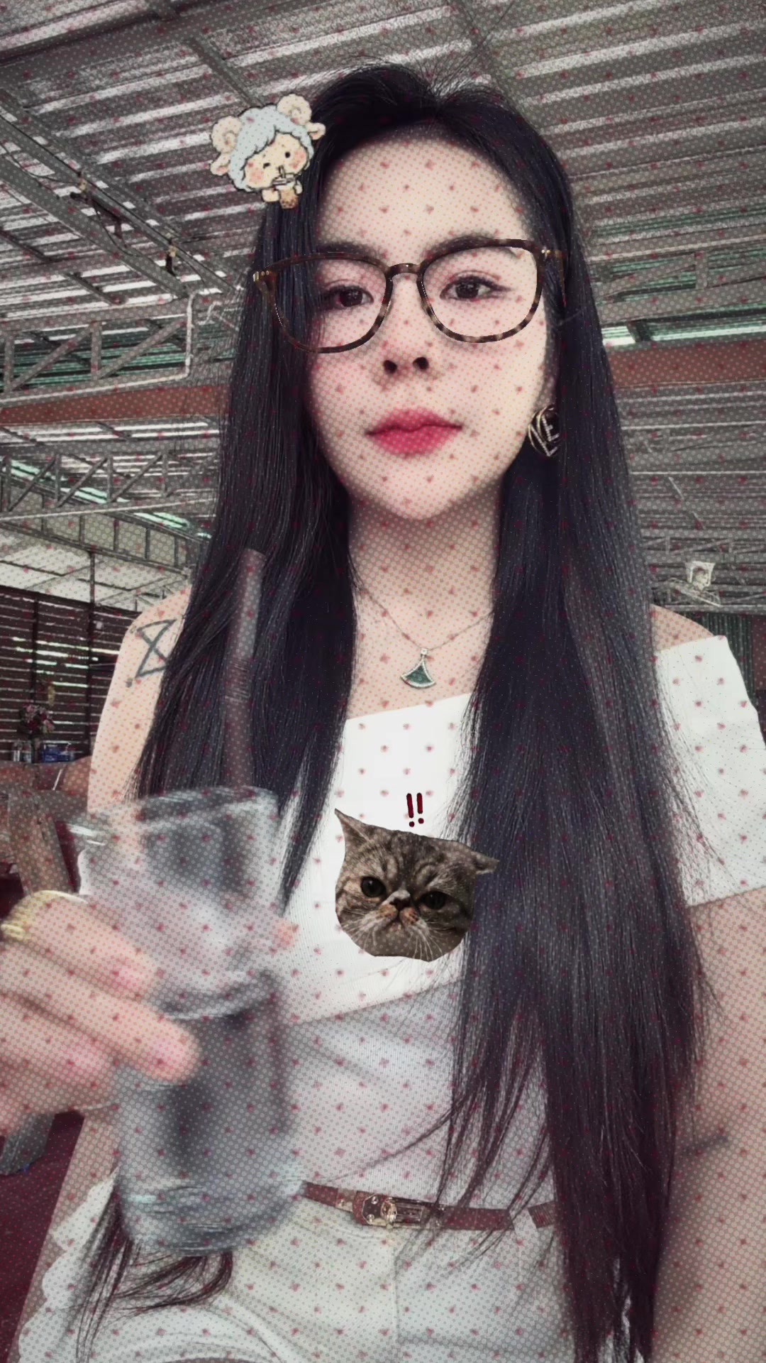 @🐲波奇💸
