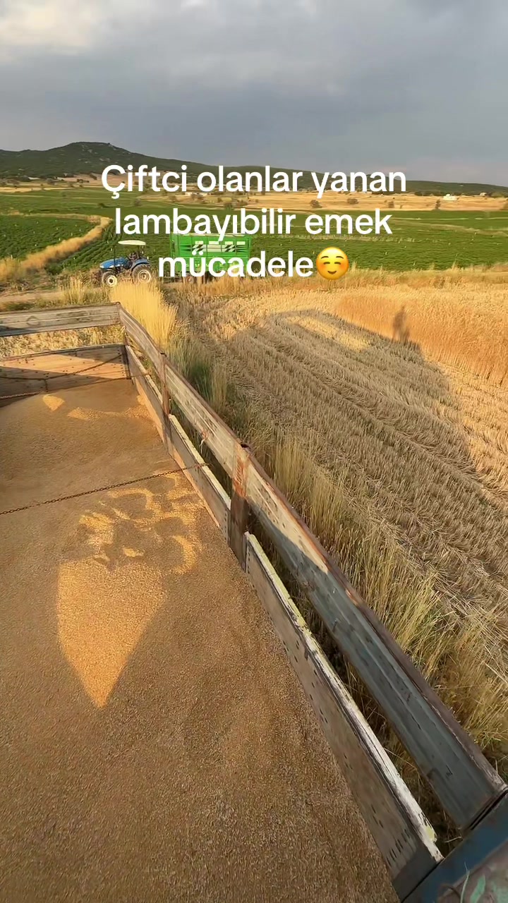 @Sezer Çkz