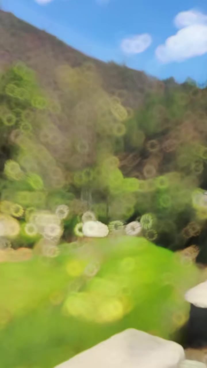 @๐โฎโ๐ธเนi๐eโก๐σγโก๐ฆโโโ ๐๐ฅ