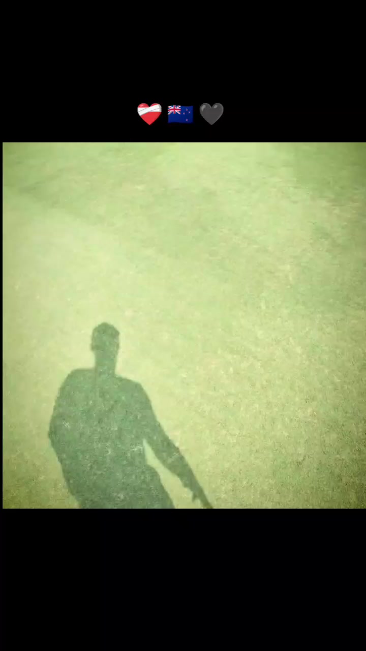 @ɴᴇᴡ ᴢᴇᴀʟᴀɴᴅ⸙