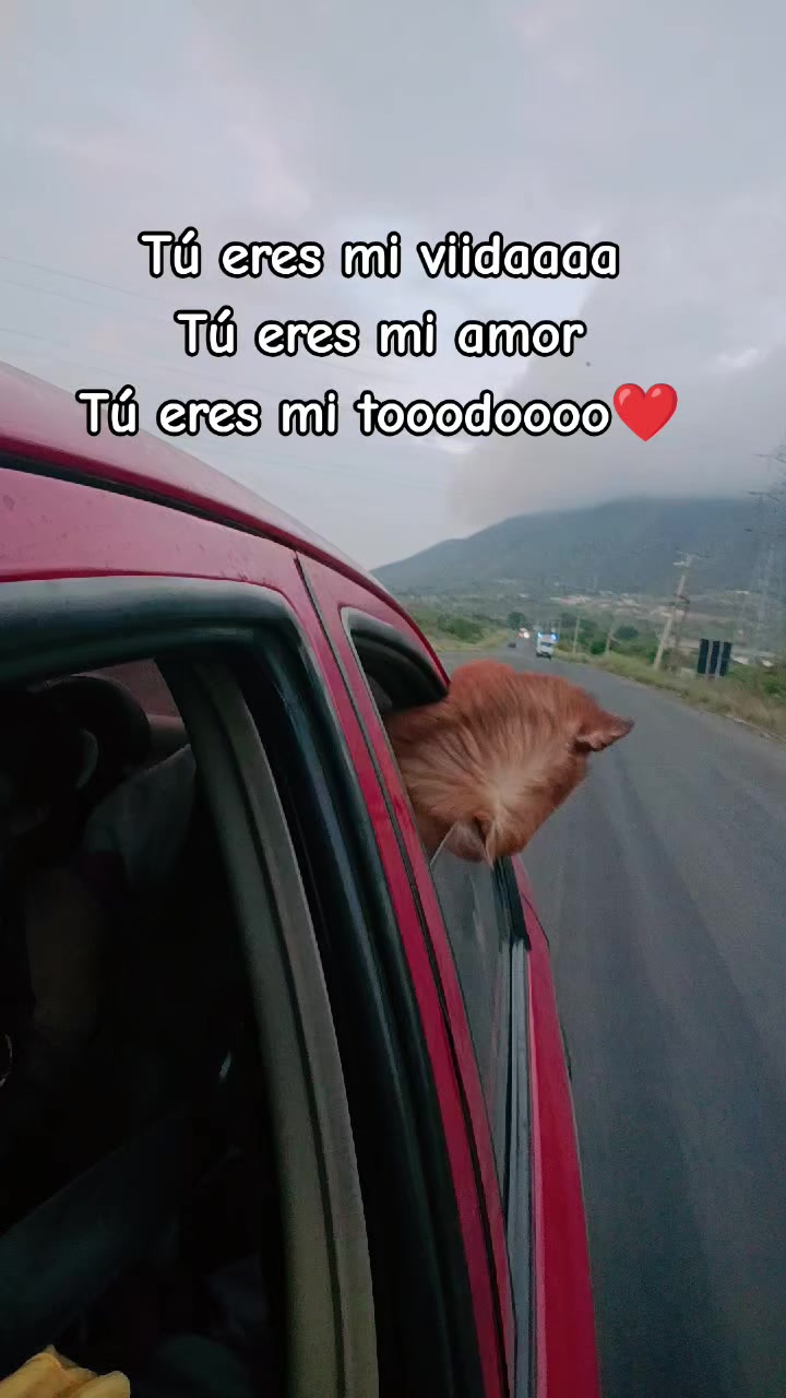 @Yulii.G28