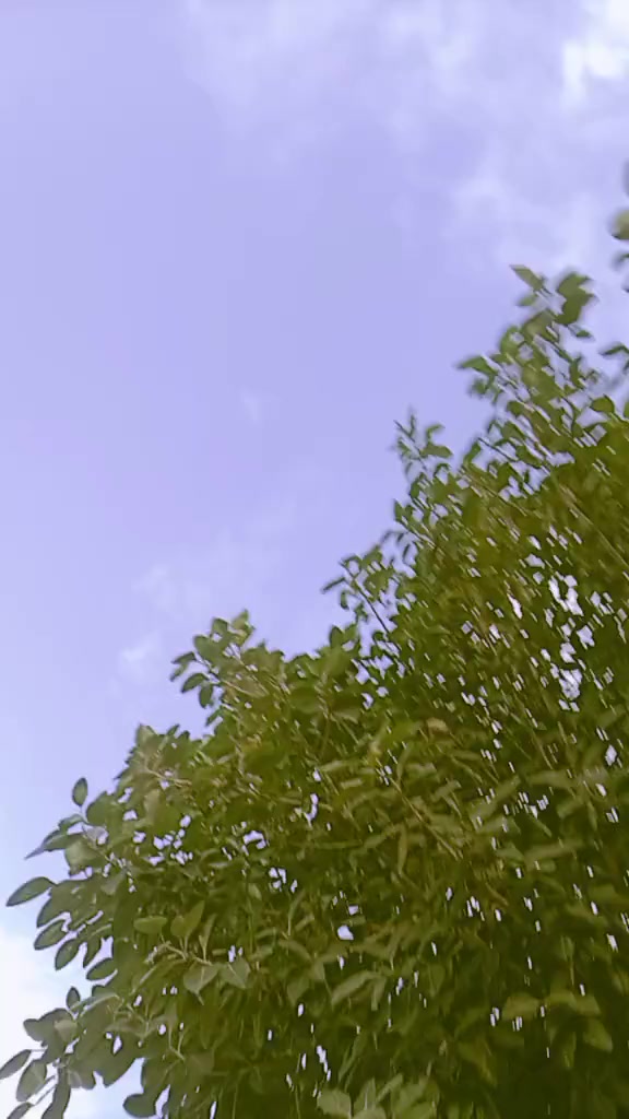 @&hearts;(✿ฺ&acute;shehzadi&hearts;(✿ฺ&acute;
