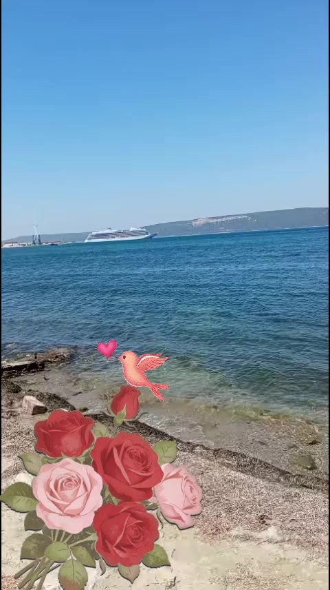 @Lila Yasemin