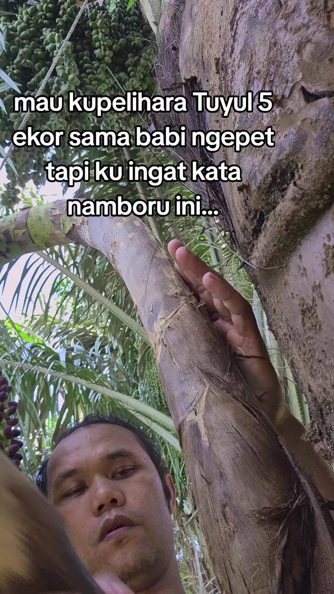 @Tinambunan