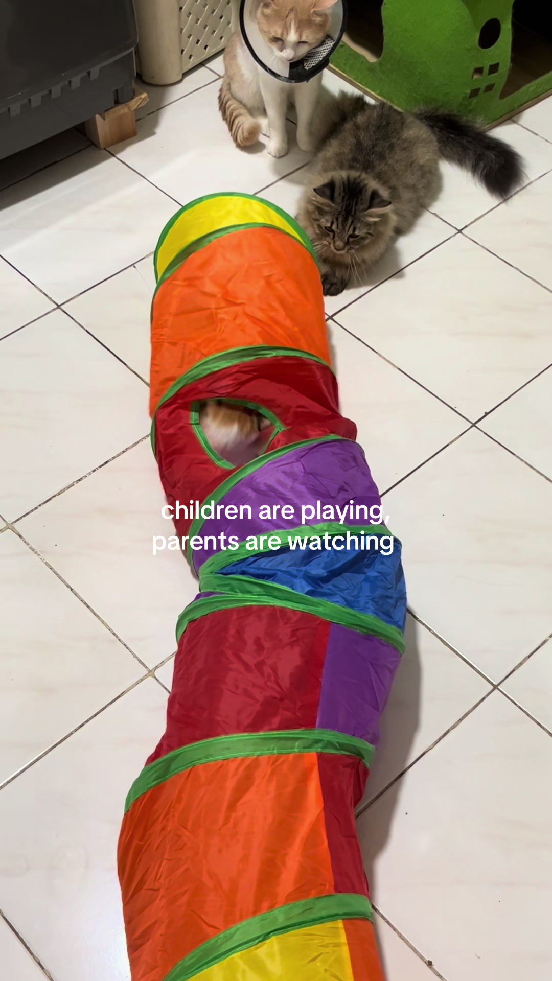 @ᰔᩚ