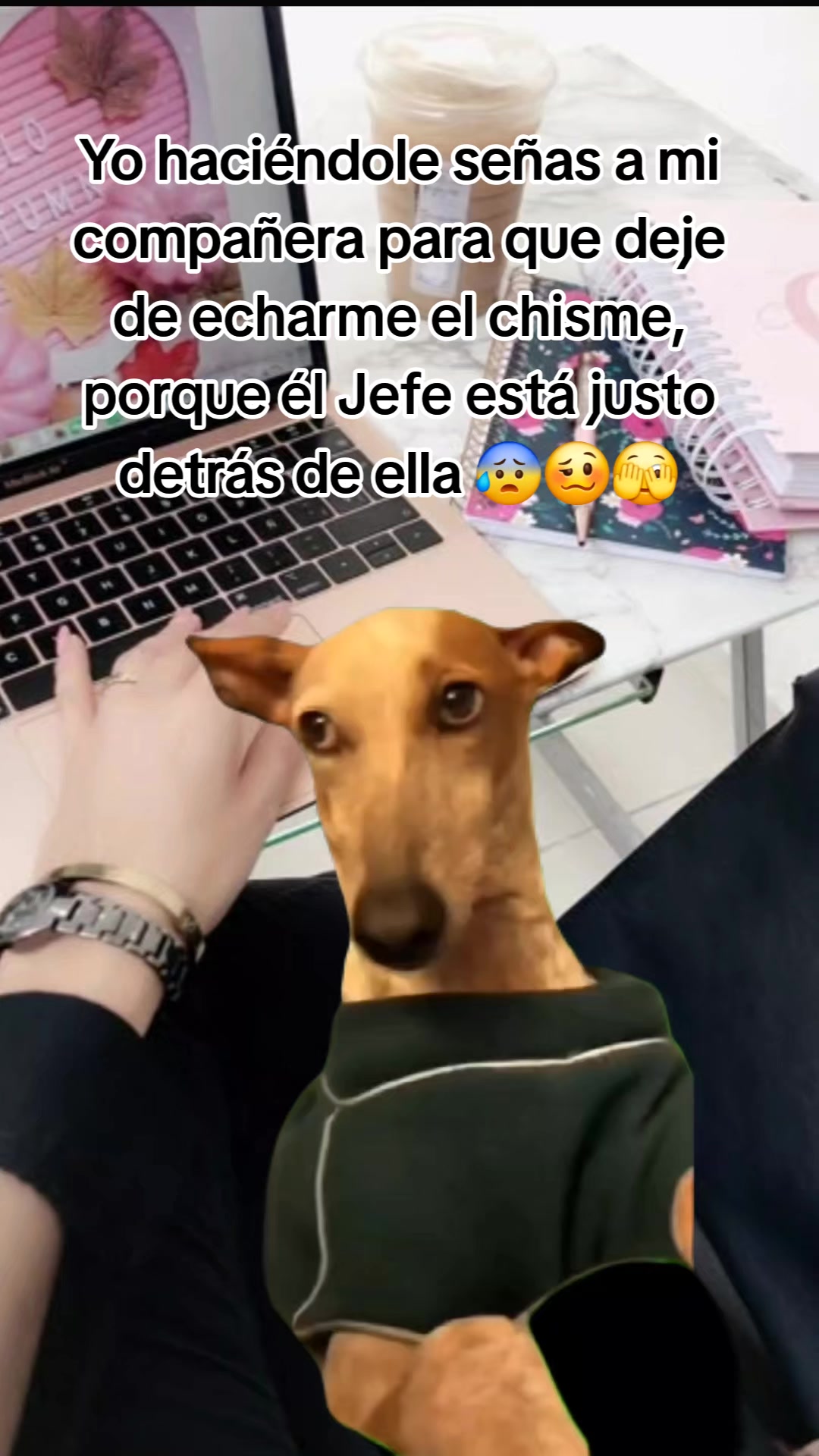 @Andrea Elizaneth