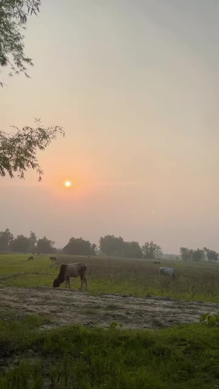 @Neha Majhi