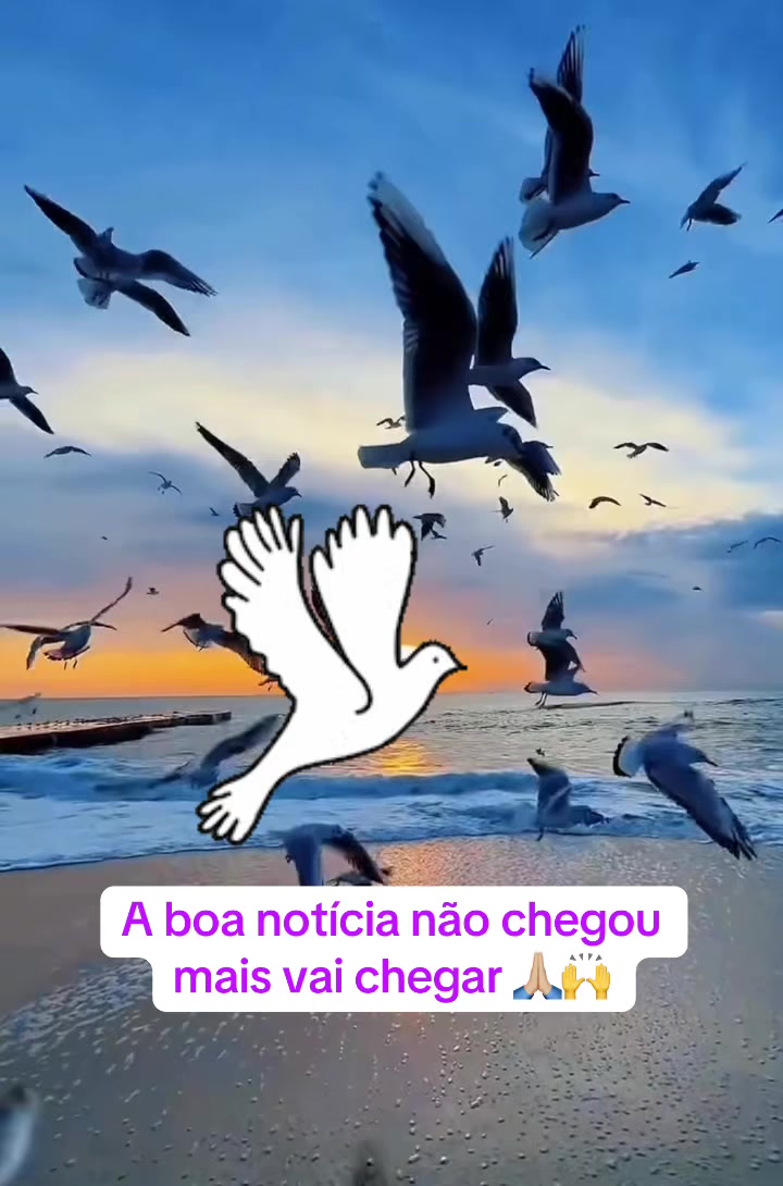 @dinizelsio