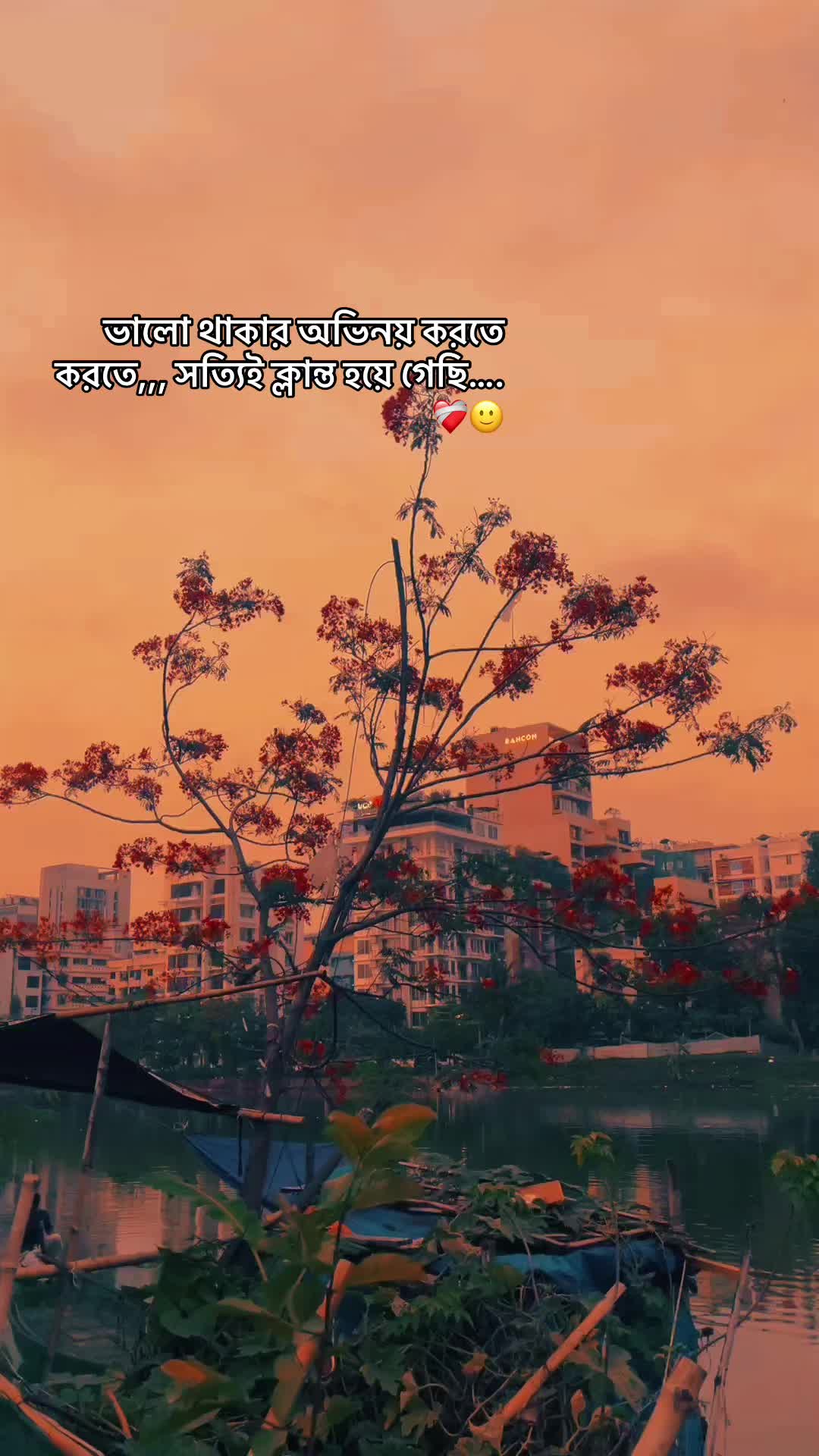 @𝓢𝓾𝓶𝓸𝓷 𝓐𝓱𝓶𝓮𝓭 ..!🖤 