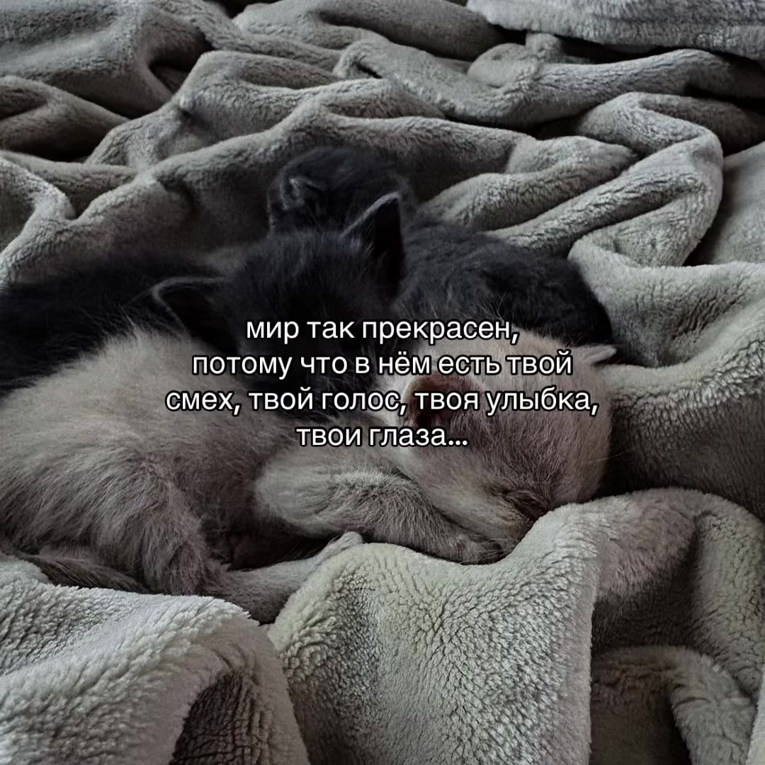 @Х̶И̶Т̶Ы̶ У̶ П̶Л̶И̶Т̶Ы̶🎧