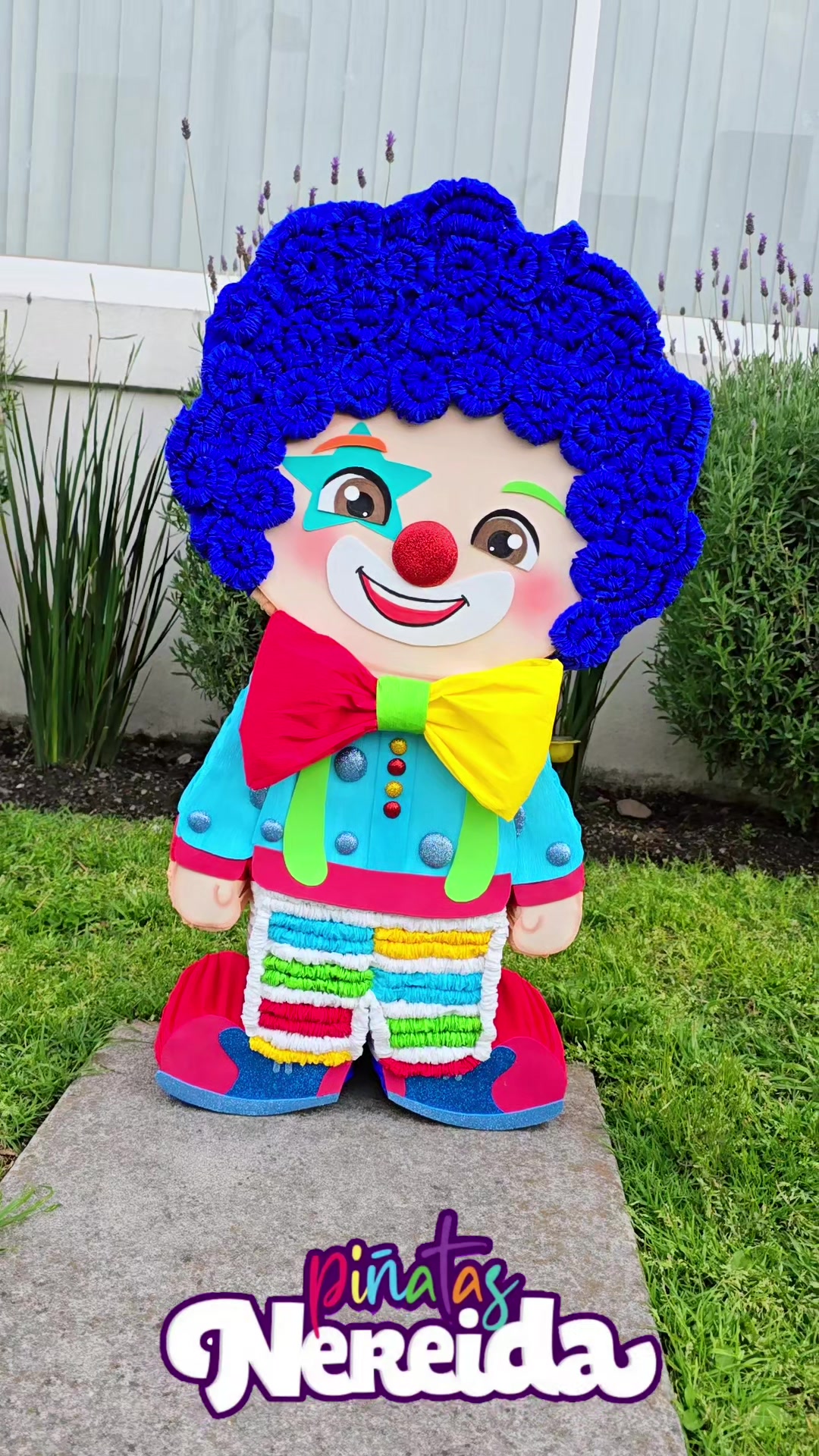 @Pi&ntilde;atas Nereida Garza