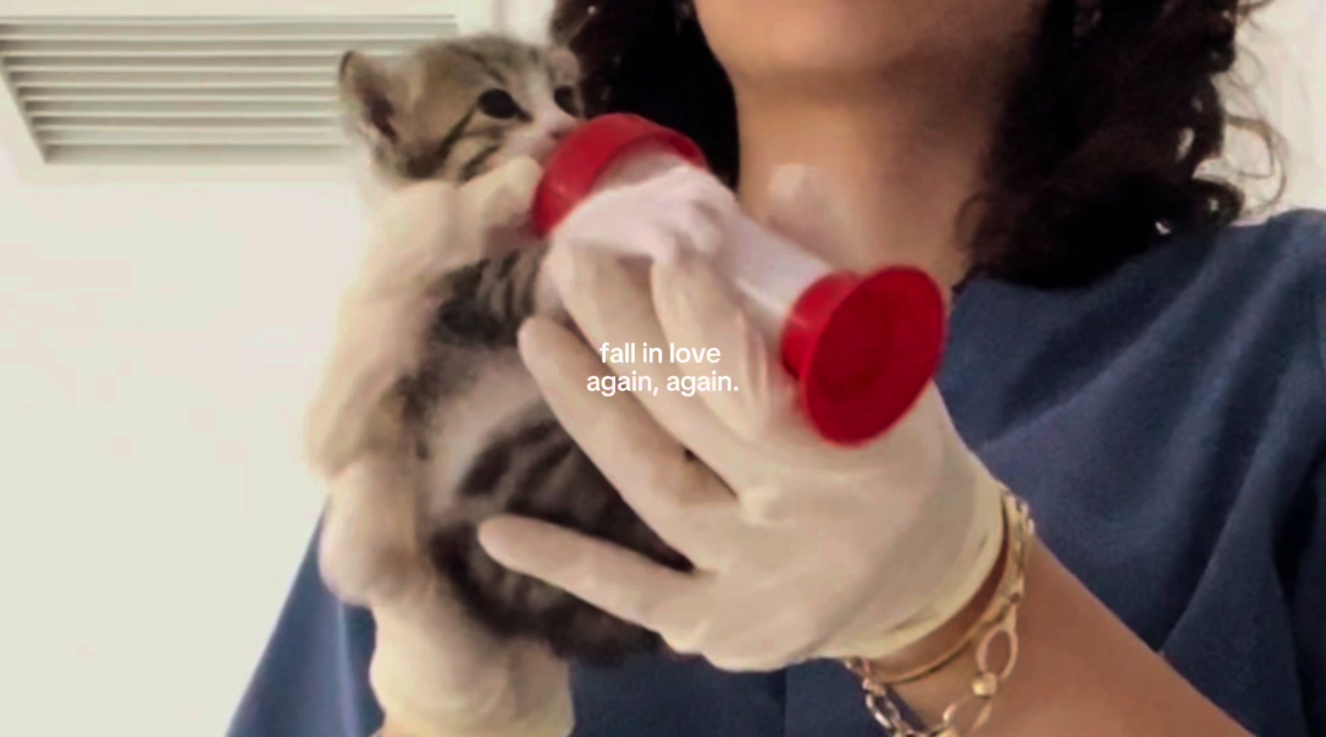 @vetmelo