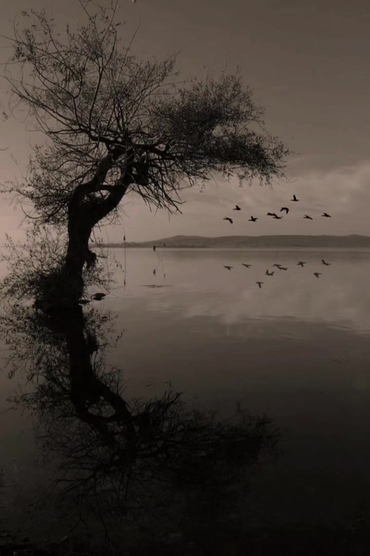 @unknown