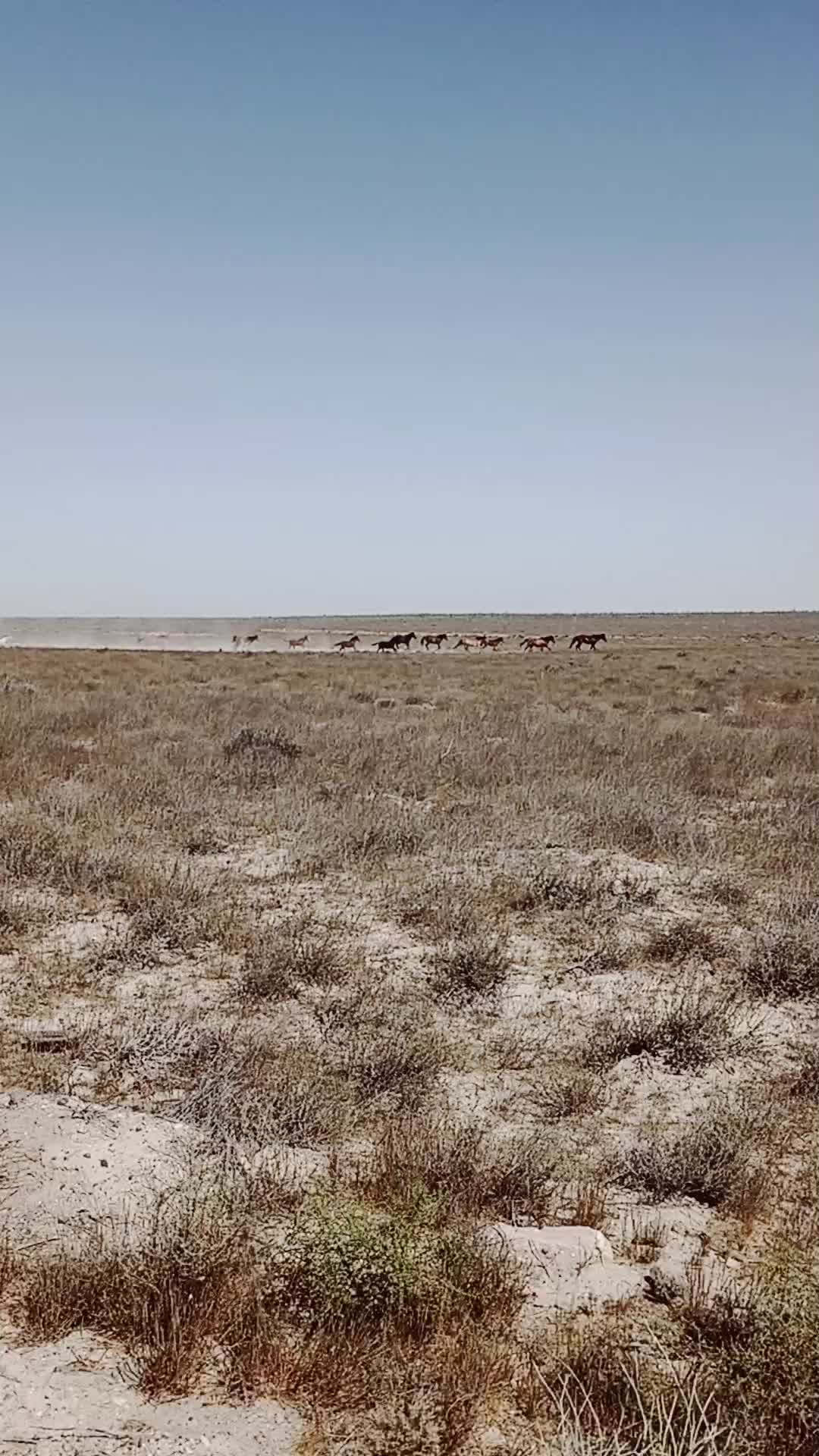 @#_Masxadov🦅