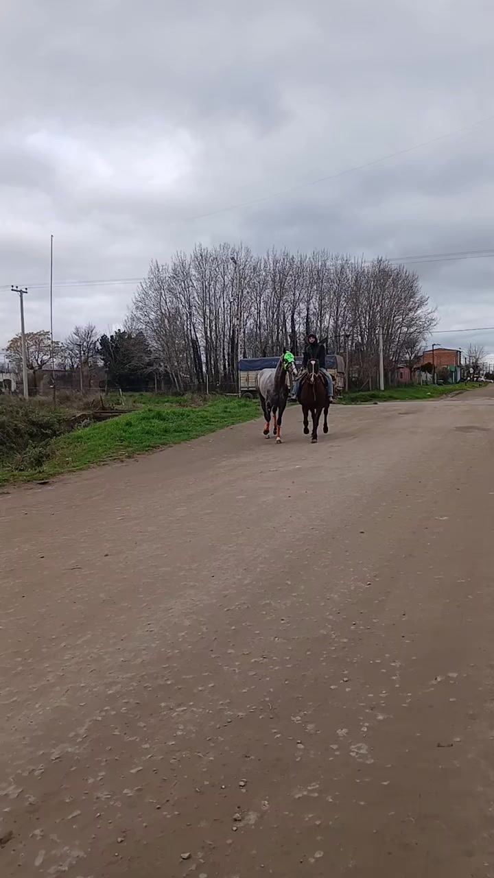 @Soledad Gigena 🏇♥️