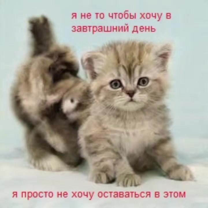 @Пепел