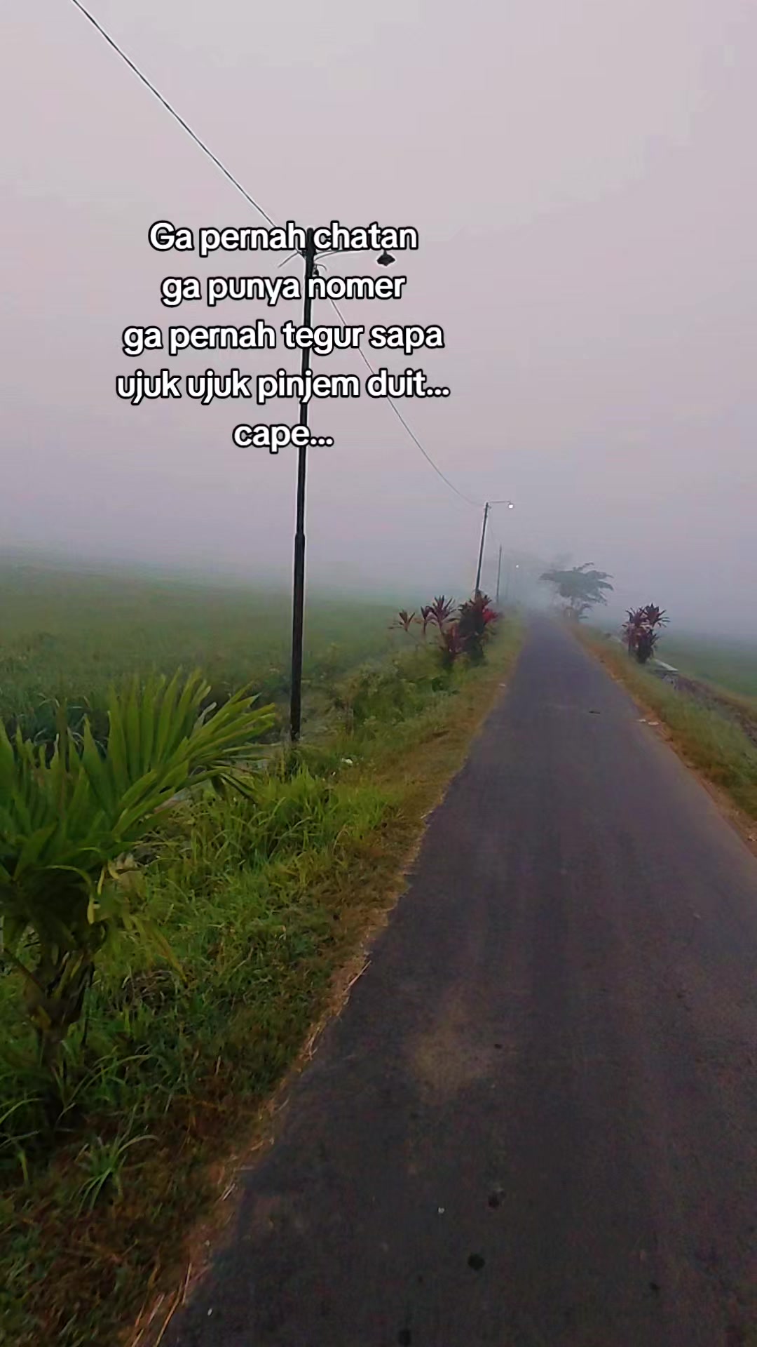 @Bibik Lung