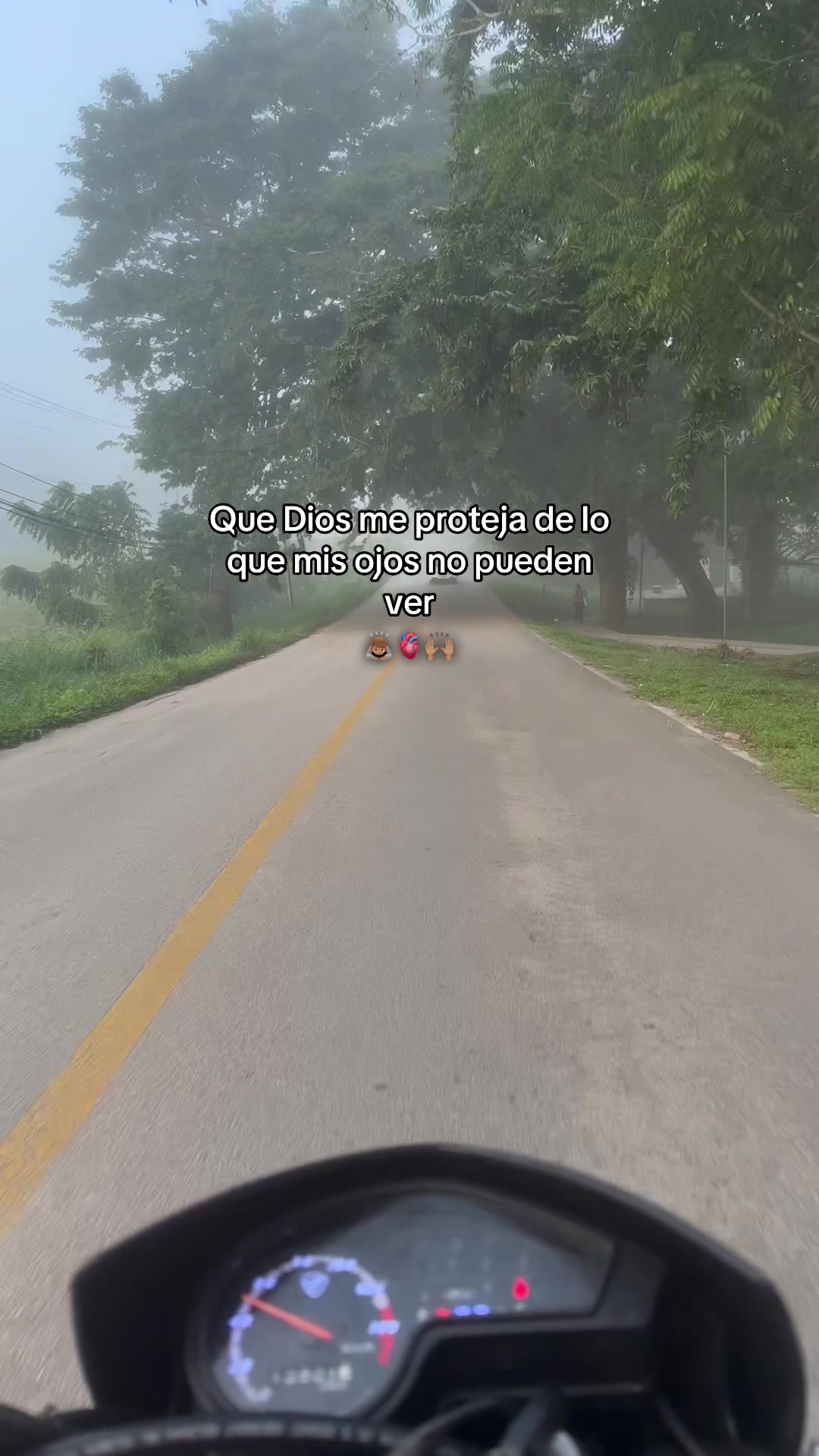 @Barbara gome